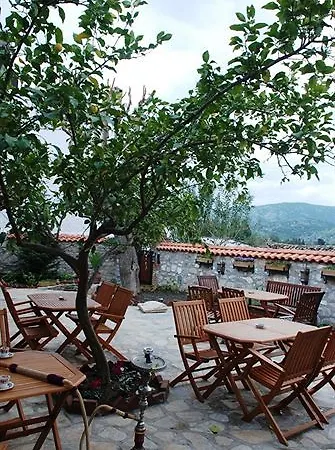 Nilya - Special Class Selcuk
